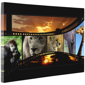 8" x 10" x 0.75" Gallery Wrapped Canvas Print