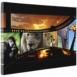 30" x 36" x 0.75" Gallery Wrapped Canvas Print 